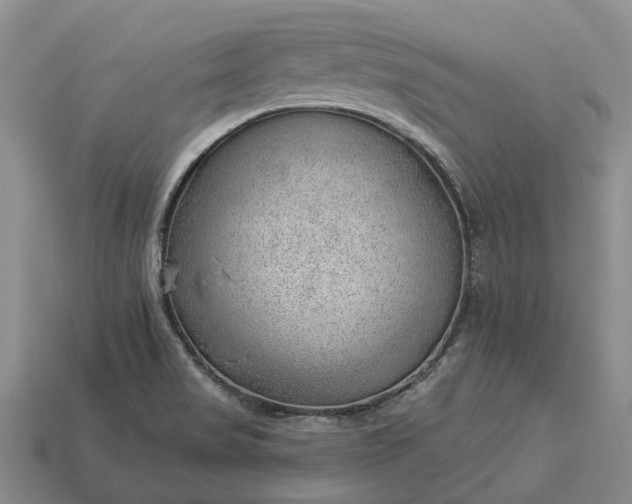 X0000112981517200909101703