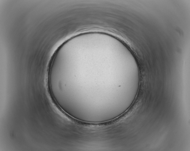 X0000112981518200909101703