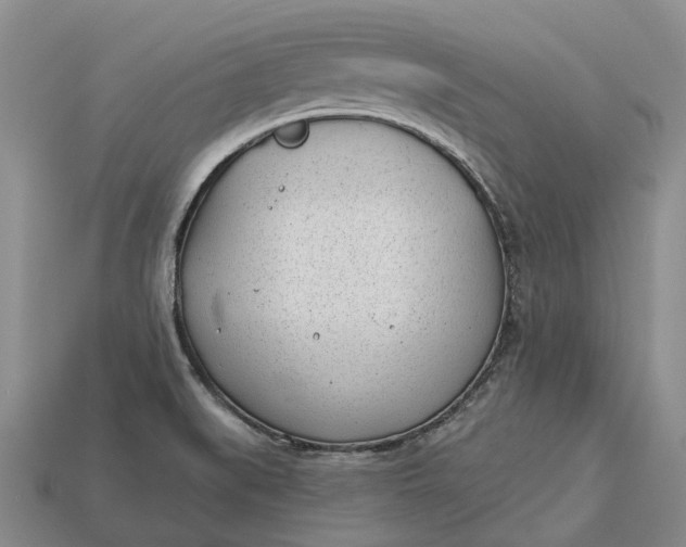 X0000112981519200909101703