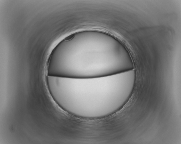 X0000112981520200909101703