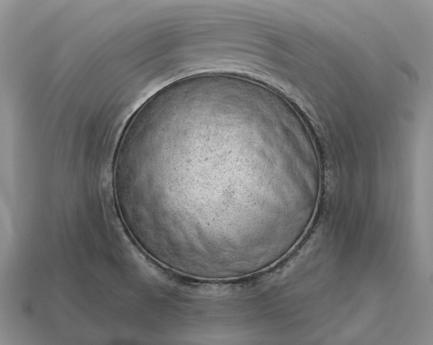 X0000112981521200909101703