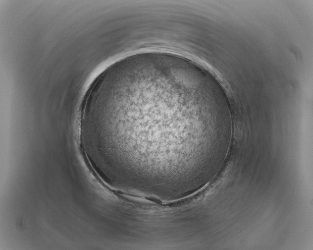 X0000112981522200909101703