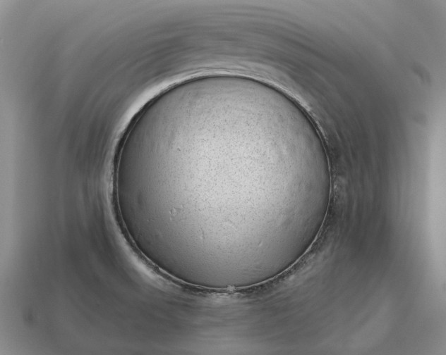 X0000112981523200909101703