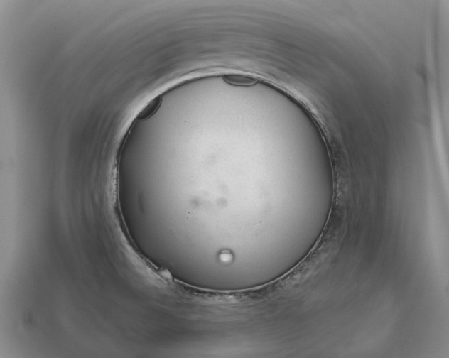 X0000112981524200909101703