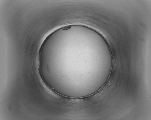 X0000112981526200909101703