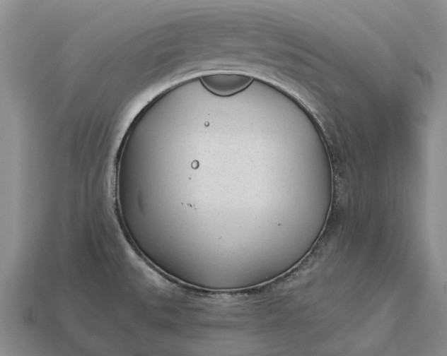 X0000112981527200909101703