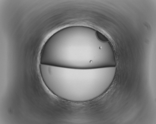 X0000112981528200909101703