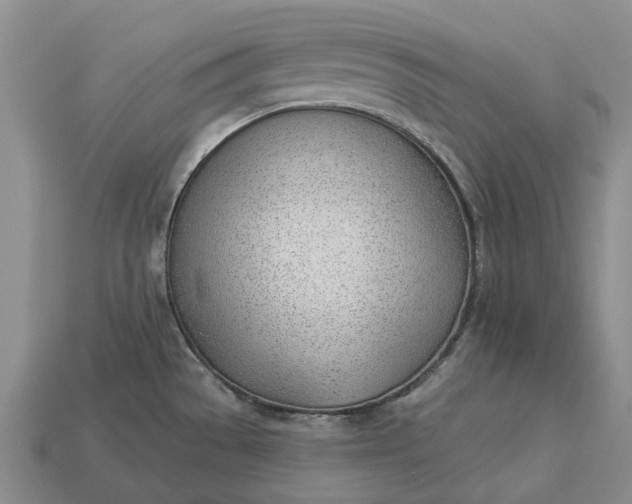 X0000112981529200909101703