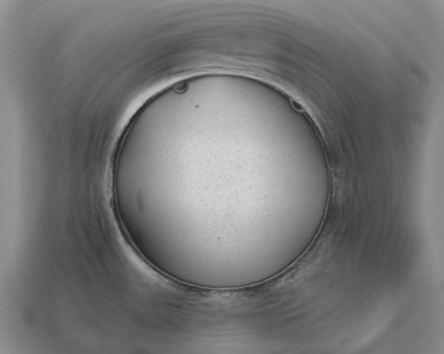 X0000112981531200909101703