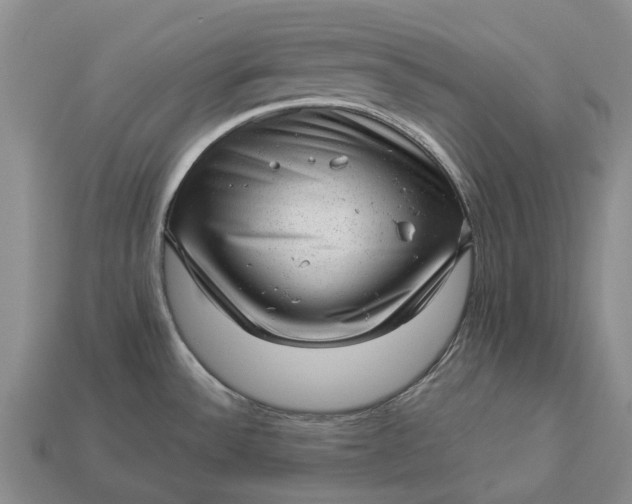 X0000112981532200909101703