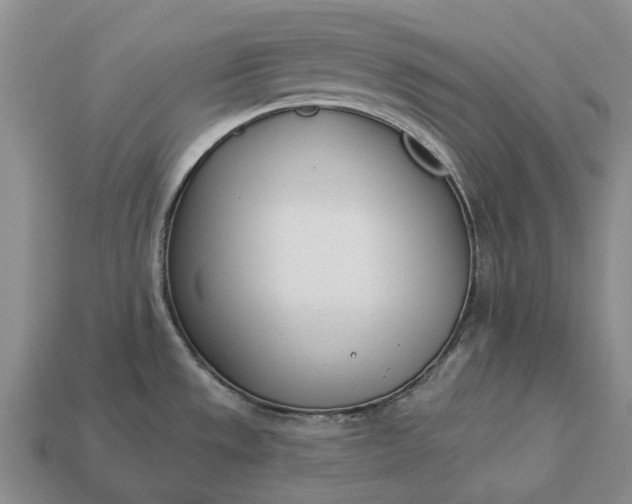 X0000112981533200909101704