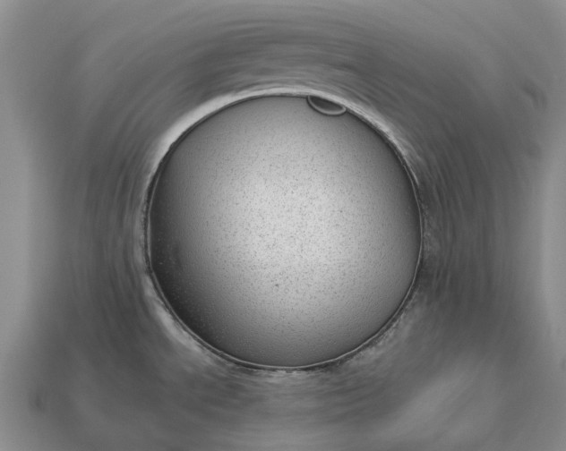 X0000112981534200909101704