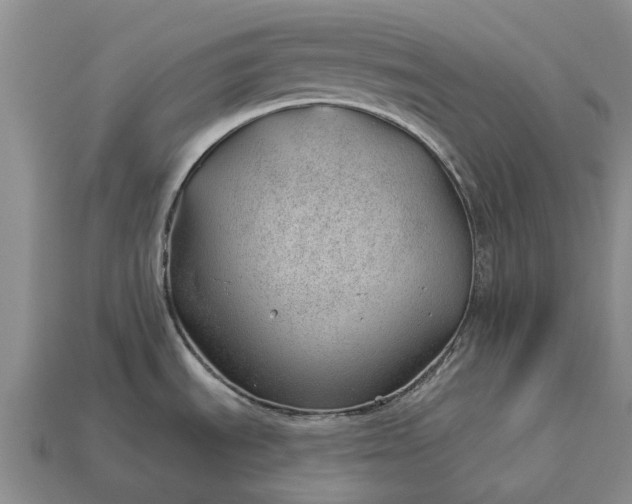 X0000112981535200909101704