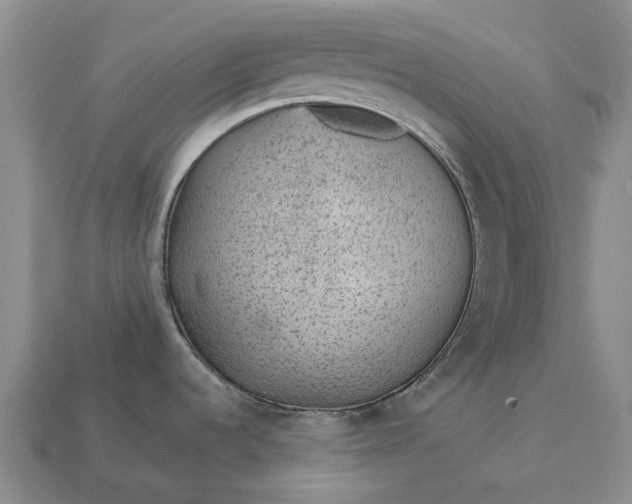 X0000112981536200909101704