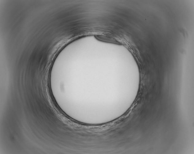 X0000112980001200909171348