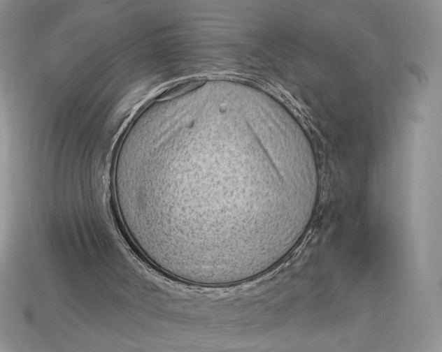 X0000112980002200909171348