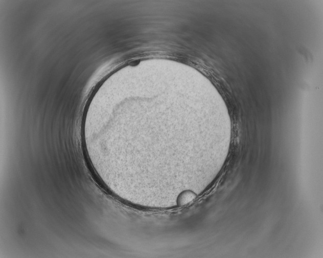 X0000112980004200909171348