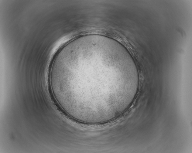 X0000112980006200909171348