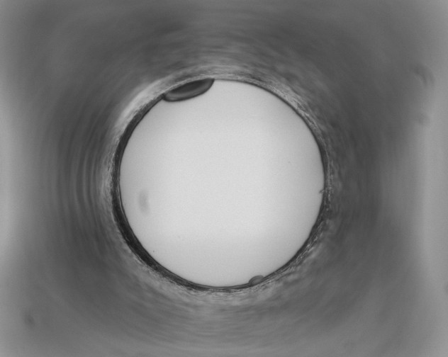 X0000112980007200909171348