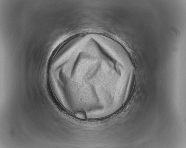X0000112980008200909171348