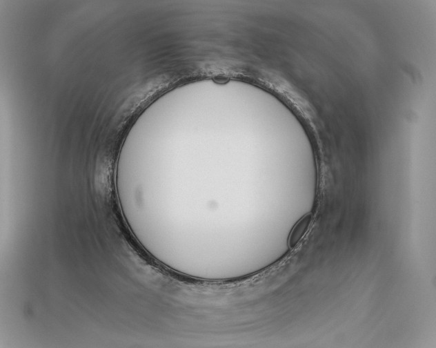 X0000112980009200909171348