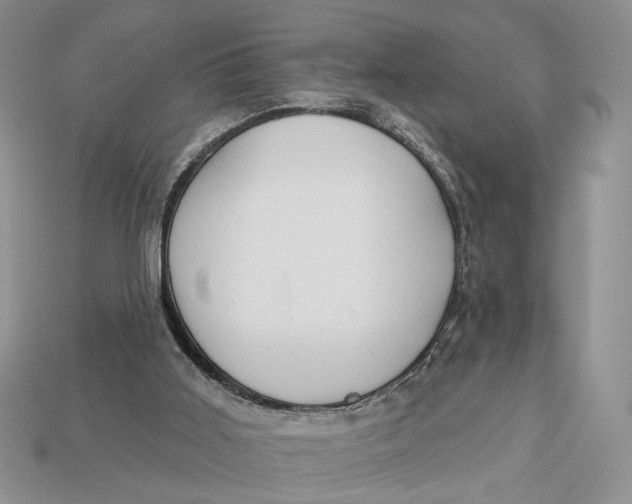 X0000112980011200909171348