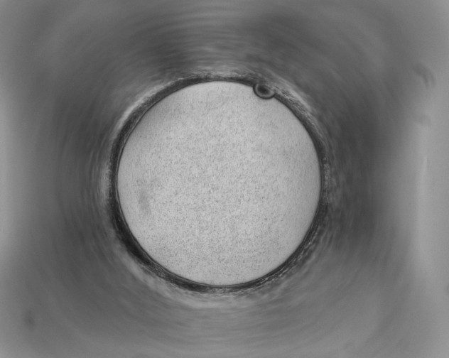 X0000112980012200909171348