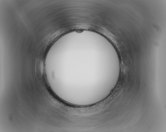 X0000112980013200909171348