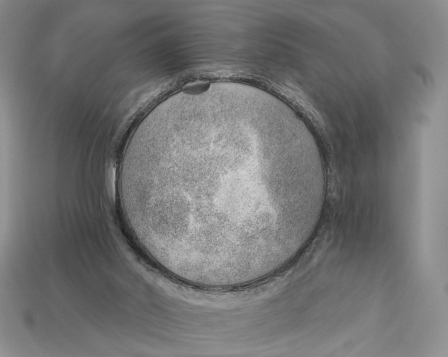 X0000112980014200909171348