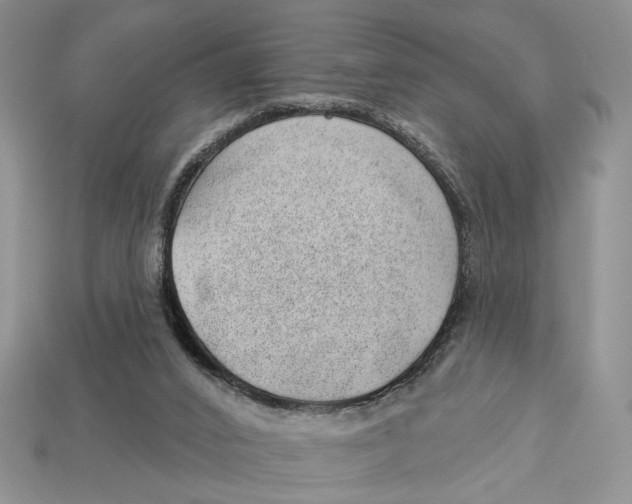 X0000112980016200909171347