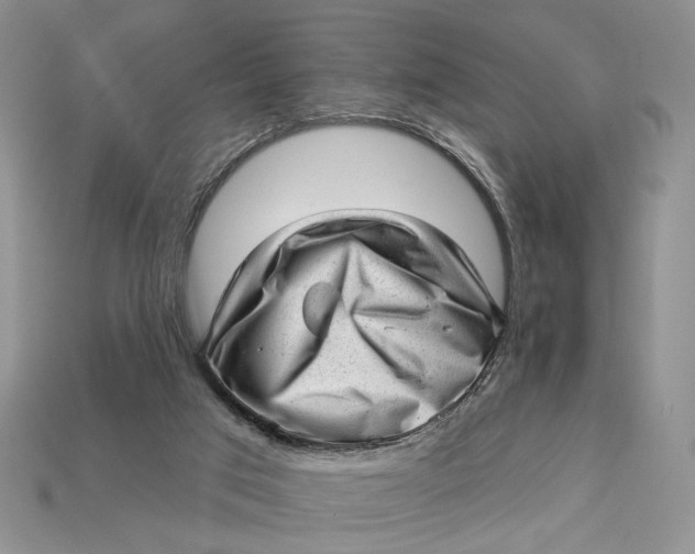 X0000112980017200909171347