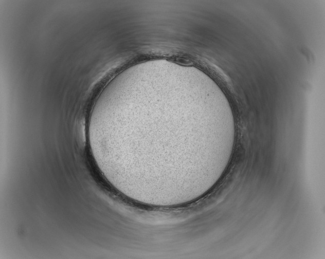X0000112980020200909171347