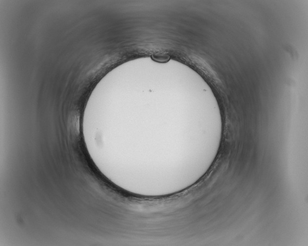 X0000112980021200909171347