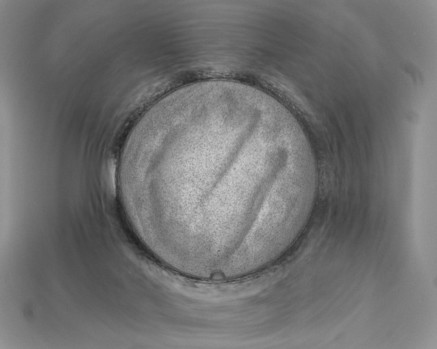 X0000112980022200909171347