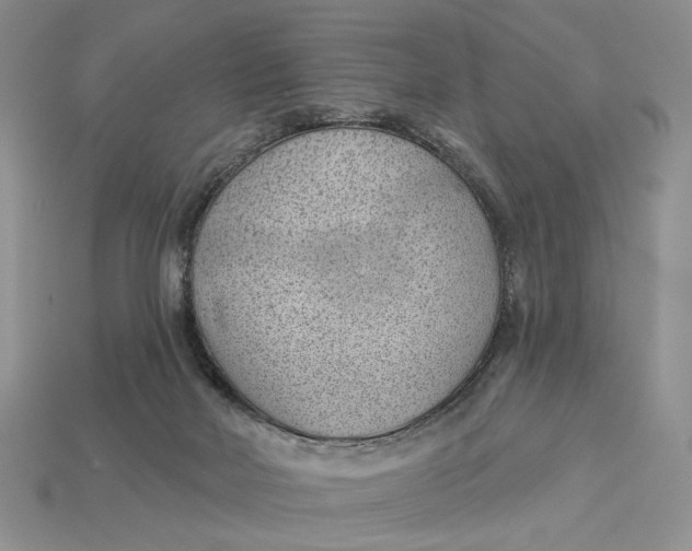 X0000112980026200909171347