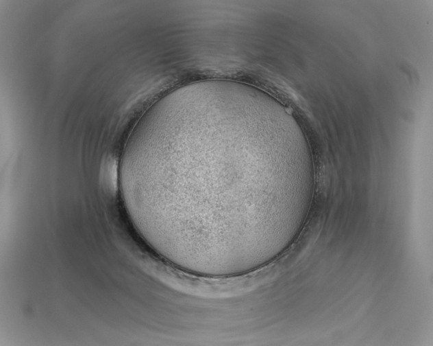 X0000112980027200909171347