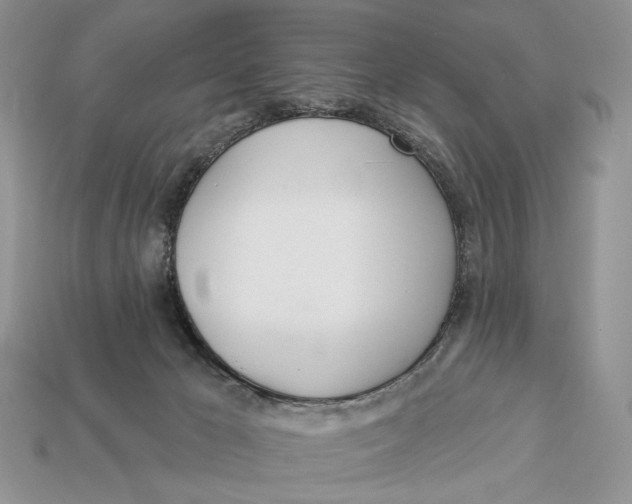X0000112980029200909171347