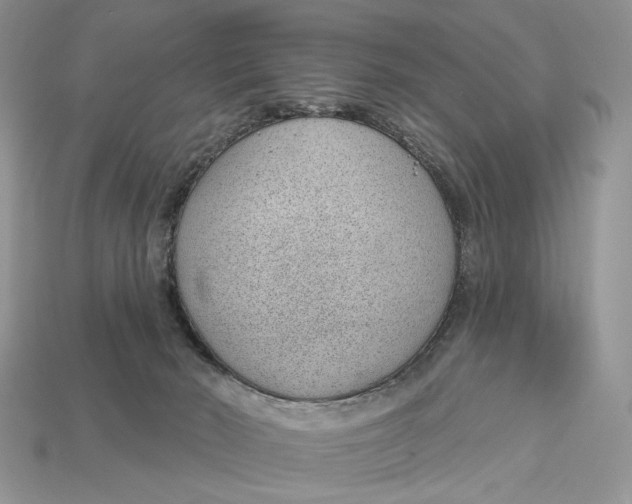 X0000112980030200909171347