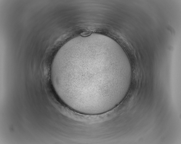 X0000112980031200909171347