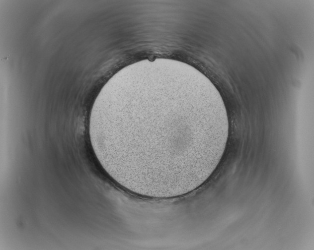 X0000112980032200909171347
