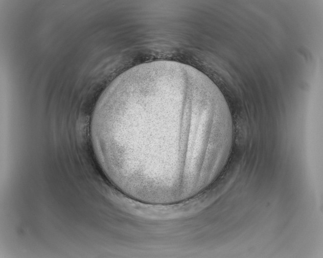 X0000112980034200909171347