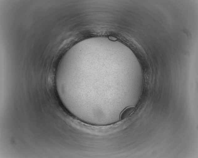 X0000112980035200909171347