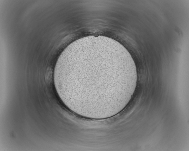 X0000112980036200909171347