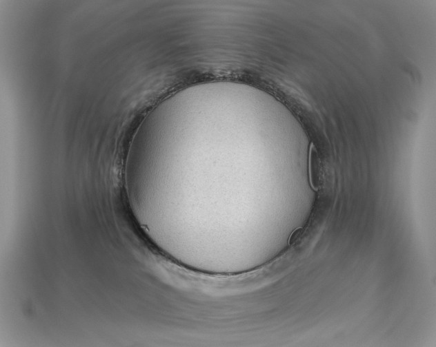 X0000112980039200909171347