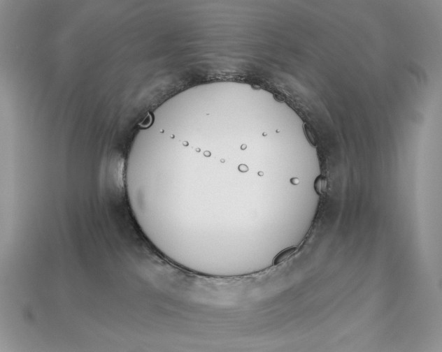 X0000112980041200909171347