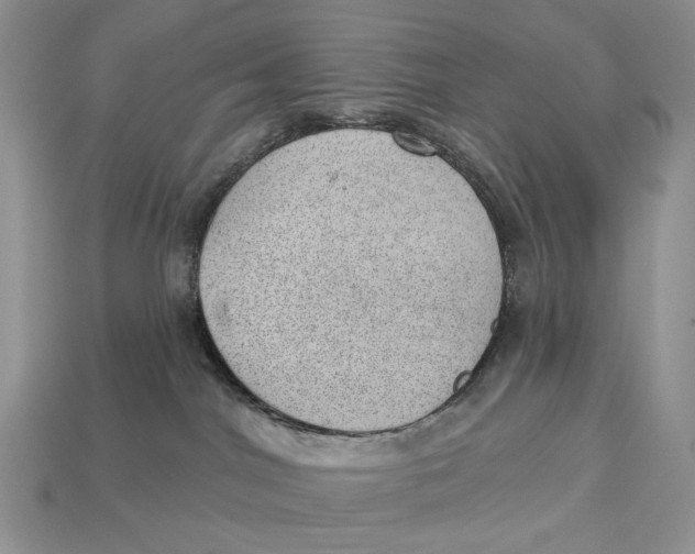 X0000112980044200909171347