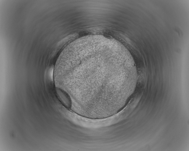 X0000112980047200909171347