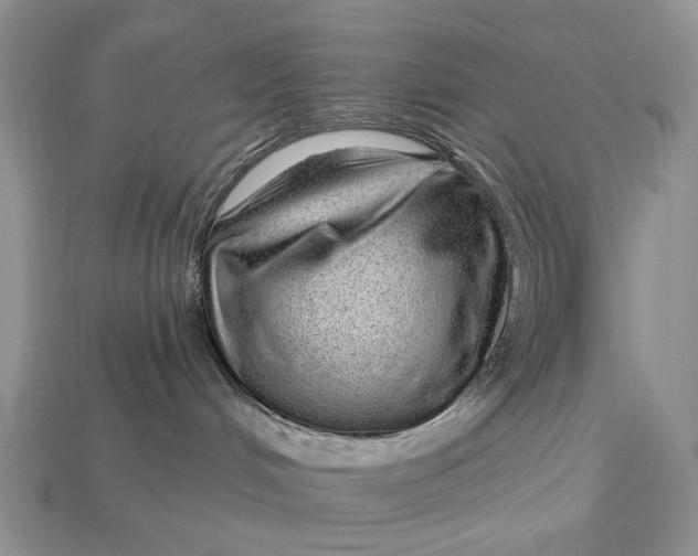 X0000112980048200909171347