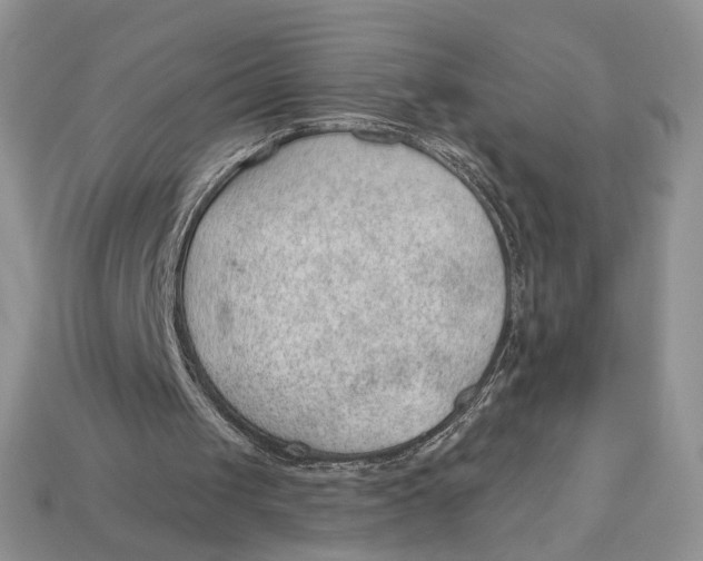 X0000112980049200909171346