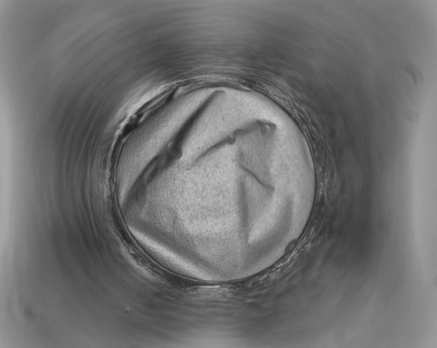 X0000112980050200909171346